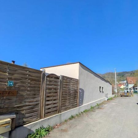 Ikigai Aparthotel Muhlbach-sur-Munster Buitenkant foto